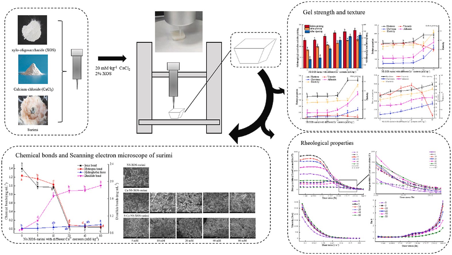 1-s2.0-S2212429223005564-ga1_lrg.jpg 上海腾拔质构仪助力浙江工商大学发表关于3D打印鱼糜的国际期刊论文