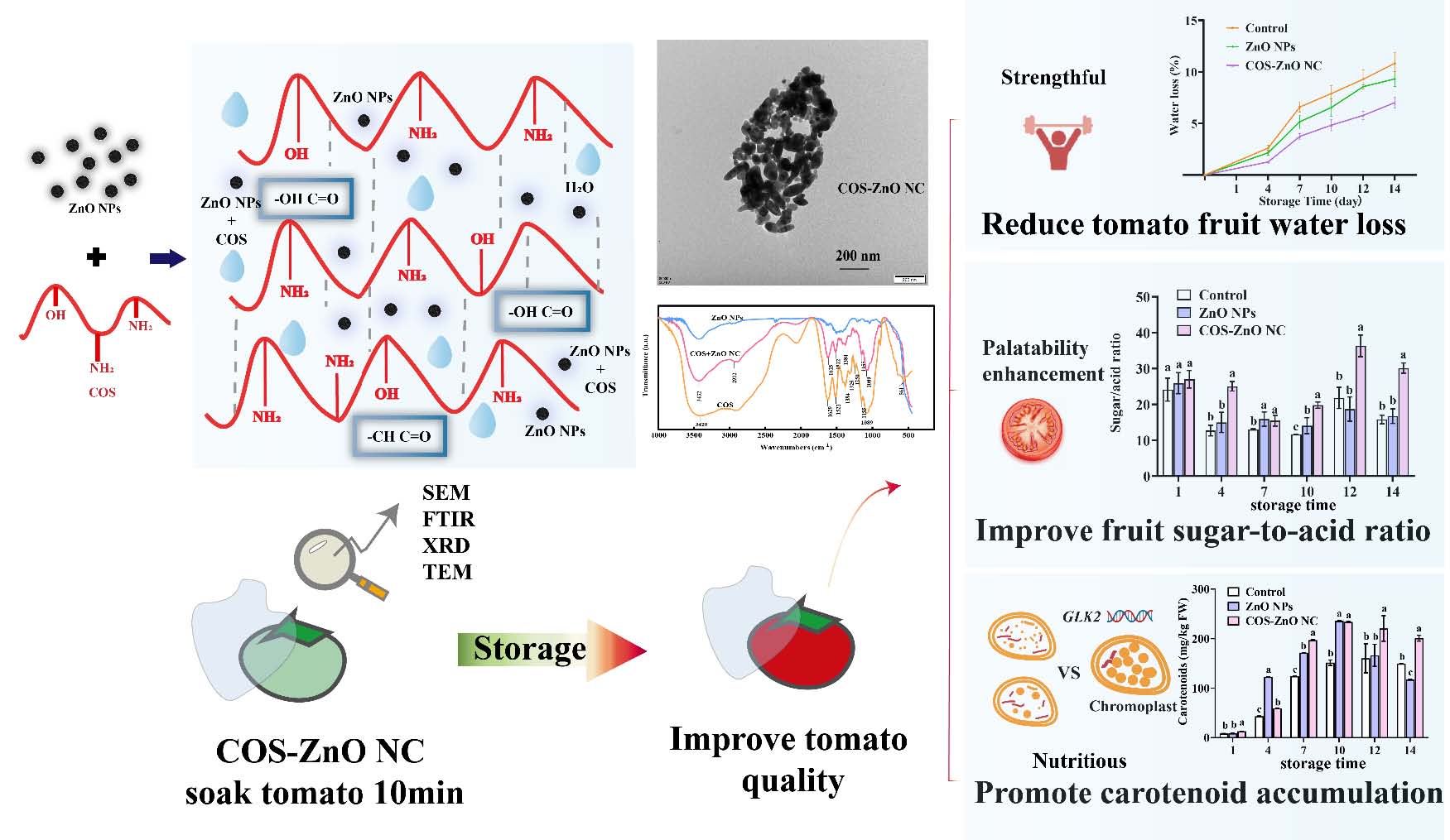 上海腾拔质构仪助力浙江大学在Food Chemistry发表关于番茄的期刊论文