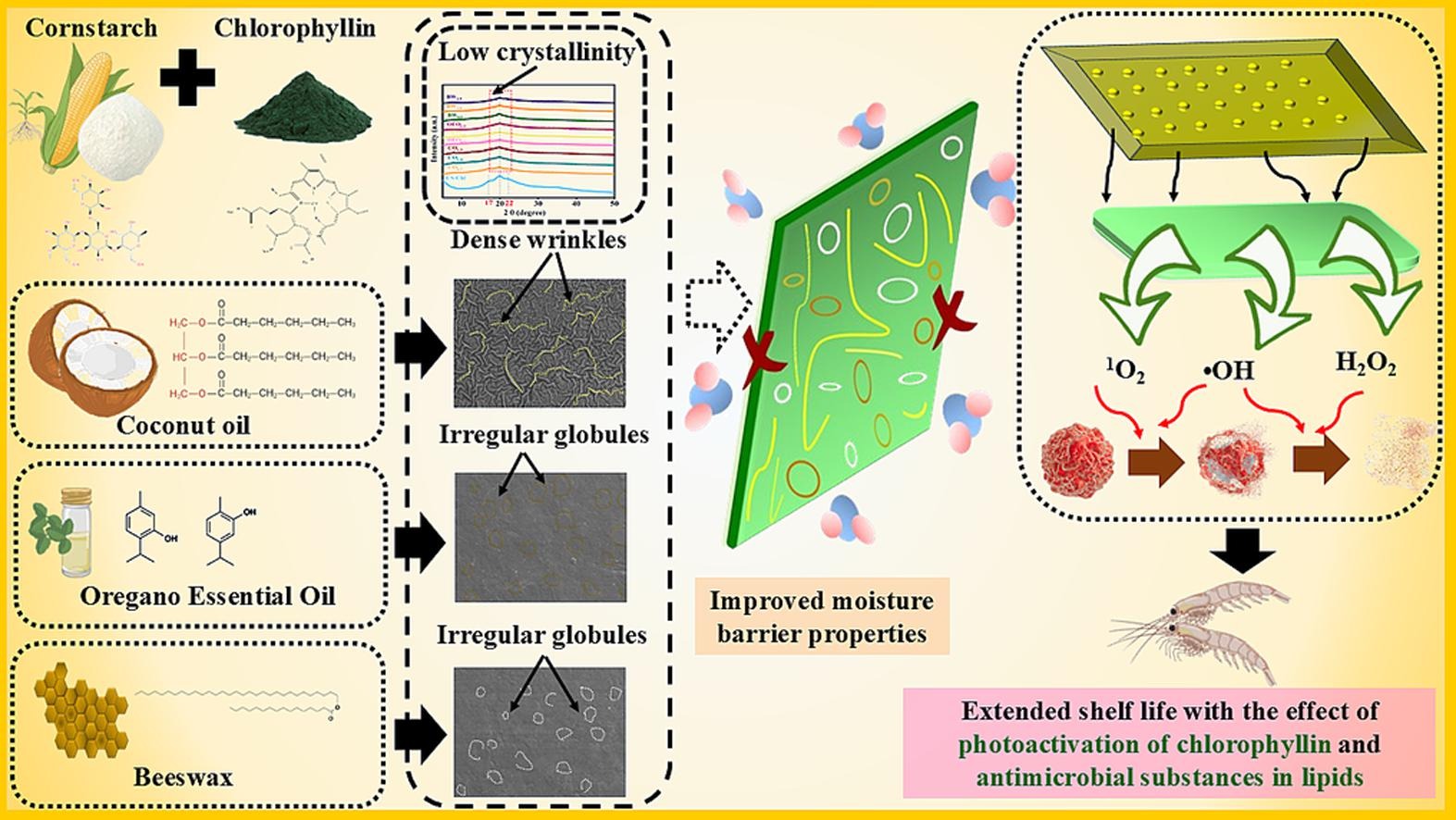 f566fb6737075fde8059692306ceefc3_1-s2.0-S0963996925000353-ga1_lrg.jpg 上海腾拔质构仪助力南京工业大学在Food Research International发文