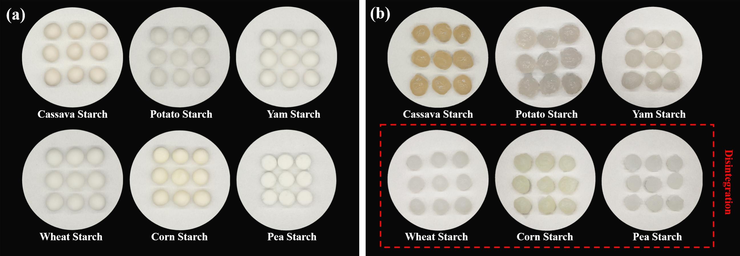 珍珠奶茶中的珍珠哪种口感好？上海腾拔质构仪助力浙江大学给出答案