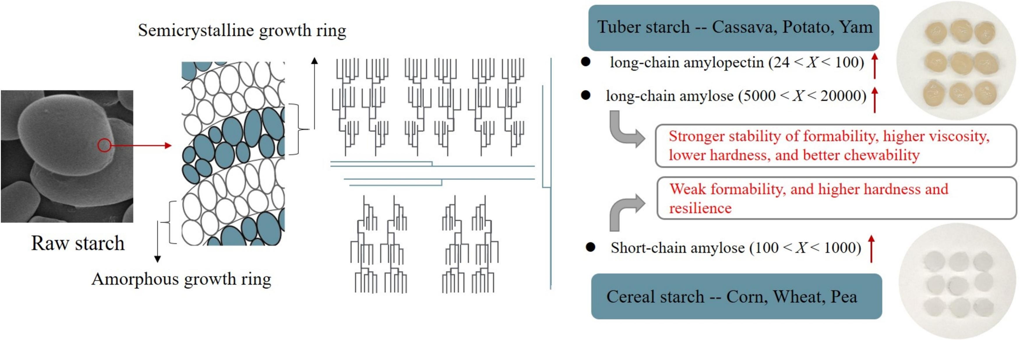 珍珠奶茶中的珍珠哪种口感好？上海腾拔质构仪助力浙江大学给出答案