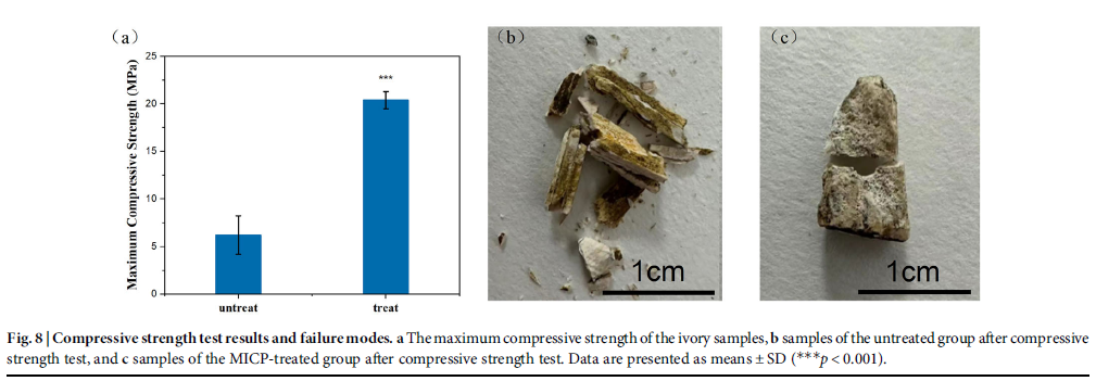 上海腾拔质构仪助力中科院在Nature子刊发表论文